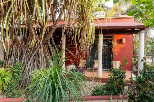 a house with a palm tree in front of it at Casa Bella Brisa in Puerto Escondido
