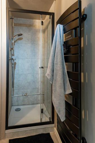 a bathroom with a shower with a glass door at La p'tite Lulu in Le Petit Chenevey