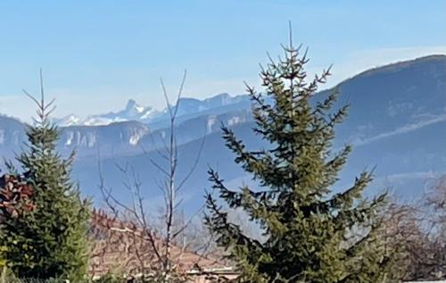 two trees on a hill with mountains in the background at La Cocotte Rousse, ses Petits Déjeuners et sa Table in Parves