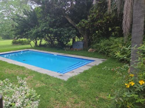 a blue swimming pool in a yard with grass at Kruger park lodge 517 in Hazyview