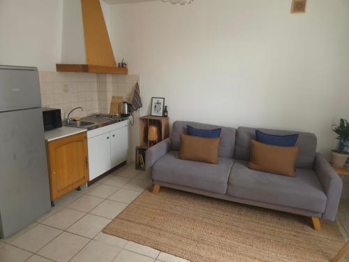 1 bedroom apartment near town centre and CHU