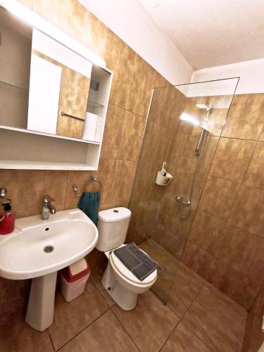 a bathroom with a toilet and a sink and a shower at Petalmo City Apartments in Larnaca