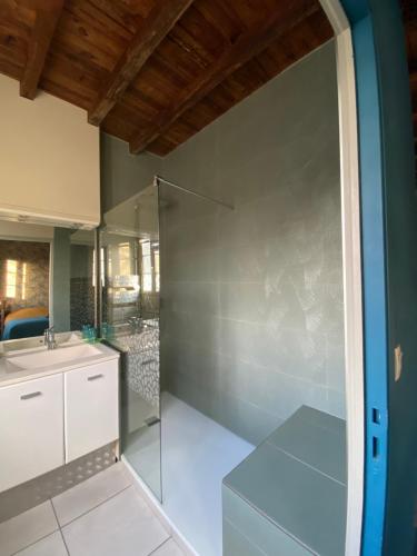 a bathroom with a shower and a sink at Gîte Asaliah in Sainte-Colome