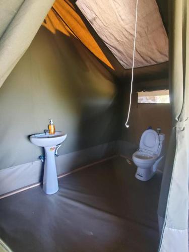 Billede fra billedgalleriet på Rhino hillside i Sekenani