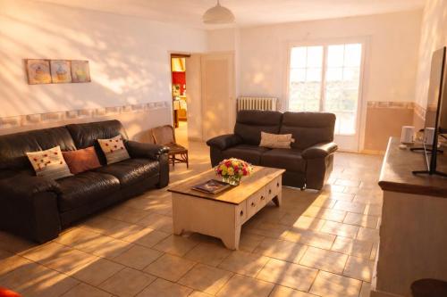 a living room with two couches and a coffee table at LES CHESNEAUX in Loches