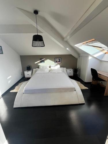 Grande chambre calme proche Genève, avec parking privé