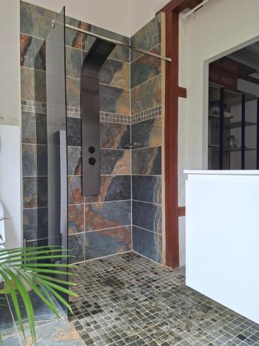 a shower in a bathroom with a stone wall at Ô Privilège studio jacuzzi clim en centre-ville de Saint-Pierre in Saint-Pierre