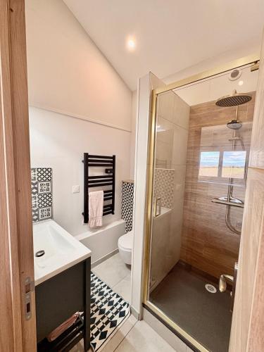 a bathroom with a shower and a sink and a toilet at Bel-Air des Collines in Saint-Martin-dʼAoût