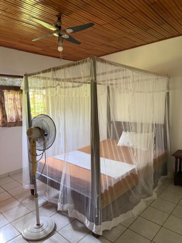 a bedroom with a canopy bed with a fan at Hill Side Kings Villa (Colonial Bungalow) in Hikkaduwa