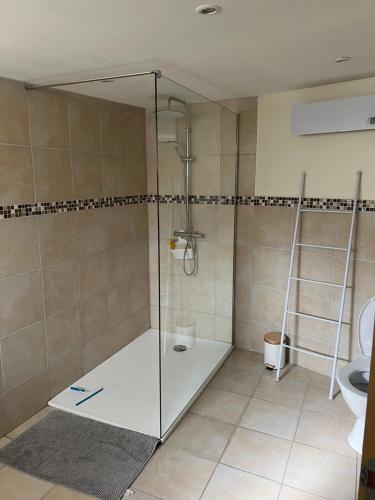a shower with a glass door in a bathroom at Dans ma Campagne in Mecquignies