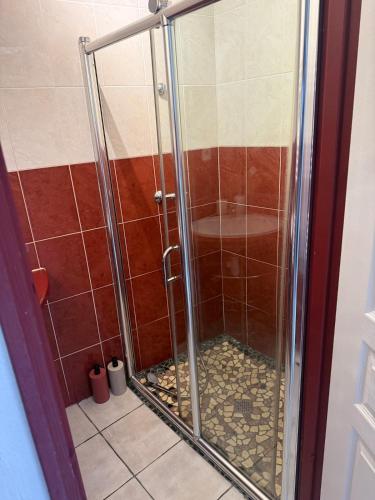 a shower with a glass door in a bathroom at Studio Cardinal in Renage