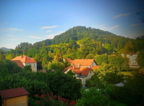 a view of a town with a mountain in the background at Apartments Ina in Rogaška Slatina