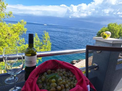 a bottle of wine and a basket of grapes at Holiday house Jakov in Gdinj