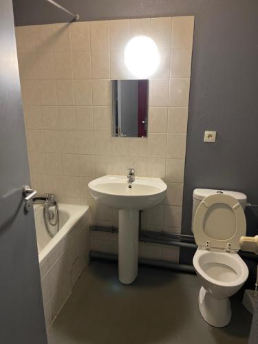 Logement type studio 1 piece proche zénith