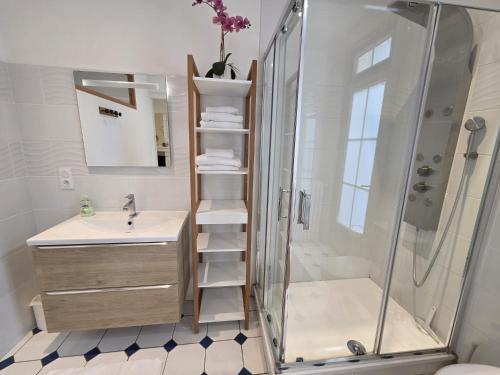 a bathroom with a shower and a sink at Résidence Austerlitz centre Angouleme in Angoulême