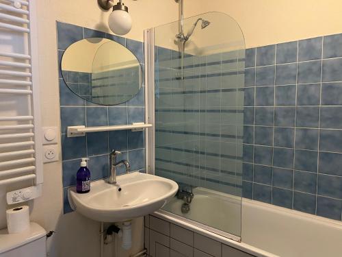 a bathroom with a sink and a shower at LE PETIT MATELOT in Honfleur