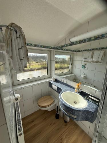 a small bathroom with a sink and a toilet at Hotel Schöne Aussicht renoviert in Bad Friedrichshall