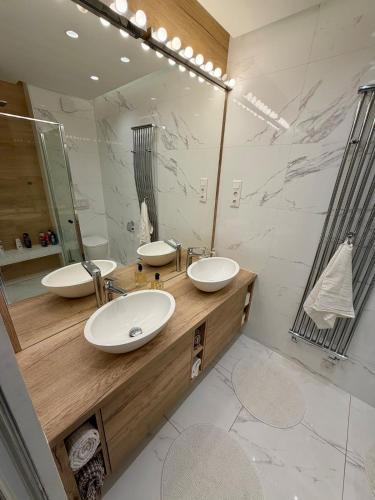 a bathroom with two sinks and a large mirror at Rupphill Apartment in Budapest