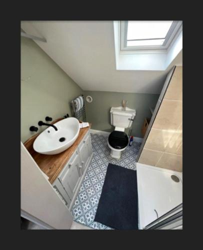a bathroom with a sink and a toilet at Spacious House In Guildford in Stoughton