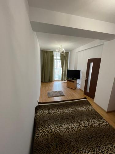 TV a/nebo společenská místnost v ubytování Rio apartment