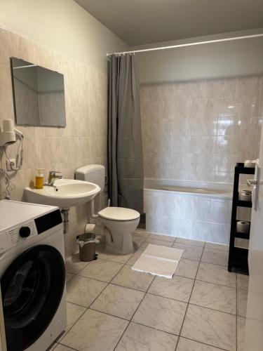 a bathroom with a washer and a washing machine in it at Linz Wasserwald - cozy 2BR Apartment in Linz