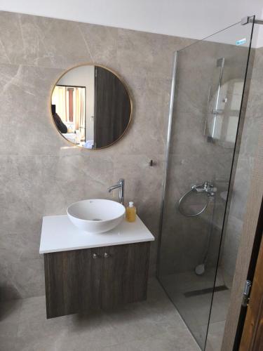 a bathroom with a sink and a shower with a mirror at Drouseia Karithea House in Drousha
