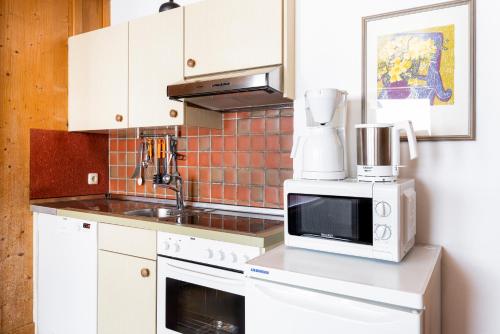 Waterfront Apartments Zell am See - Steinbock Lodges