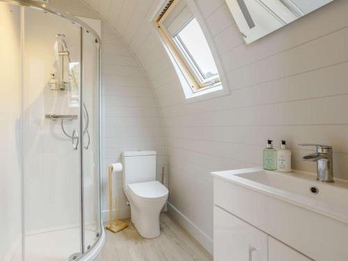 a bathroom with a toilet and a shower and a sink at 2 Bed in Tain oc-81340 in Nigg