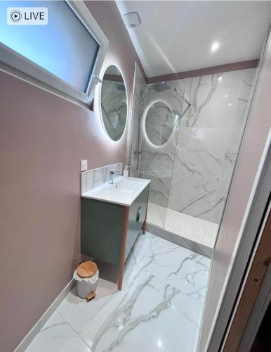 a bathroom with a sink and a shower at Charmant appartement plain-pied avec accès facile in Bailleul
