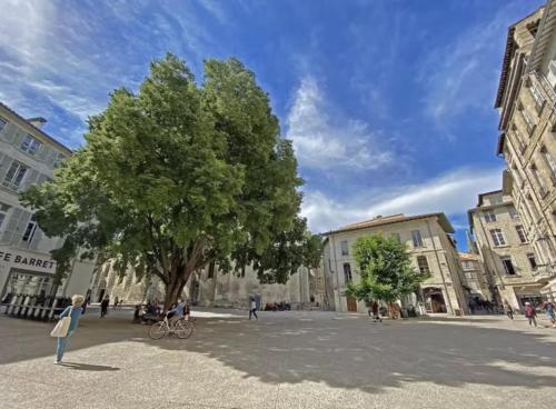 Loft lumineux - Avignon Centre - Wi-Fi