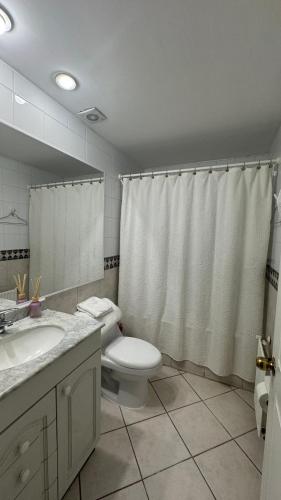 a bathroom with a toilet and a sink and a shower at Hermoso y Acogedor Departamento en el Centro Pucon in Pucón