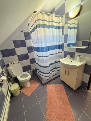a bathroom with a toilet and a sink and a shower at Apartament Ral in Arieşeni