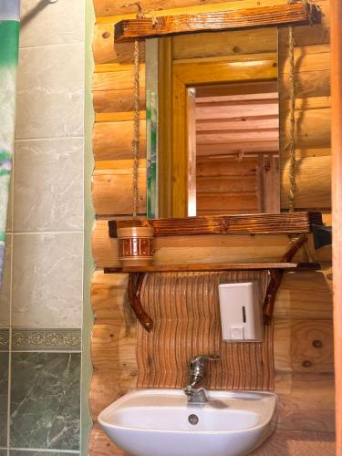 a bathroom with a sink and a mirror at Садиба Людмила in Pilipets