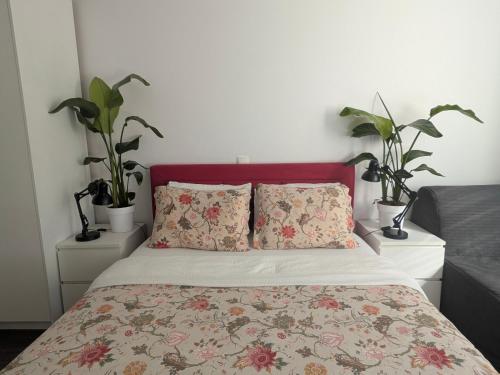 Luna Apartment