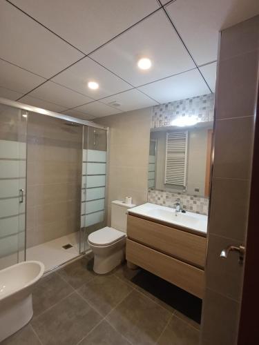 a bathroom with a toilet and a sink and a shower at Apartamentos Elvira Valderrobres in Valderrobres