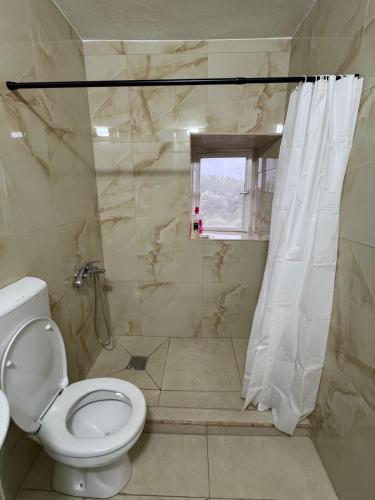 a bathroom with a toilet and a shower at Skadar Lake Stone House in Podgorica
