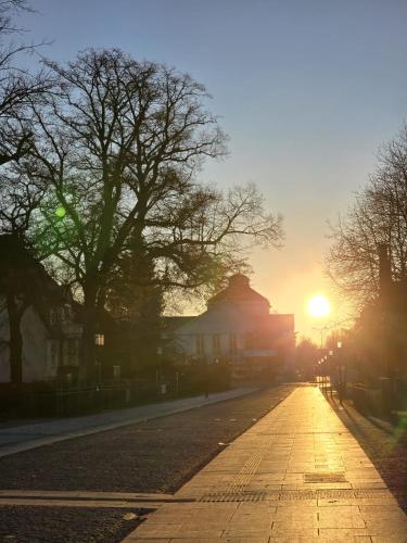 Gallery image of Hostel Bertha-Marie Smaragd Oase in Greifswald