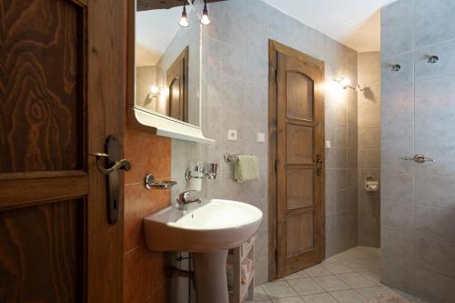 a bathroom with a sink and a mirror and a shower at Pod jednou střechou in Libošovice