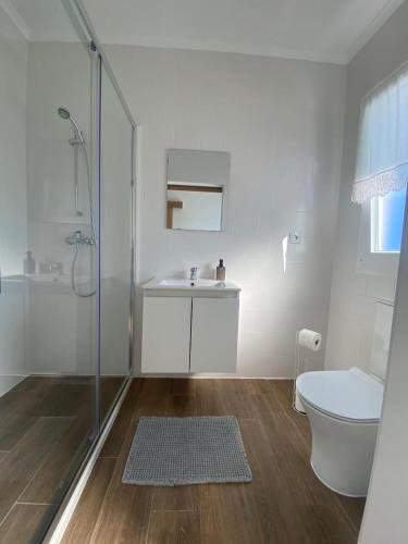 a bathroom with a shower and a toilet and a sink at Serras d'Sal in Alcochete
