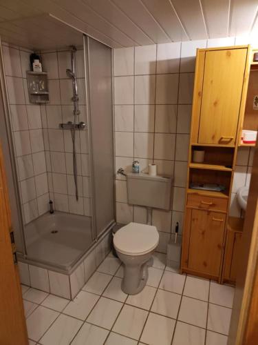 a small bathroom with a toilet and a shower at ANEMA Ferienwohnung in Bayerisch Eisenstein