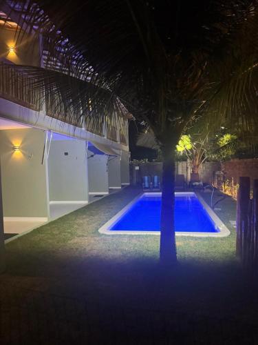 a palm tree in front of a pool at night at pousada Maria da Fé in Vera Cruz de Itaparica