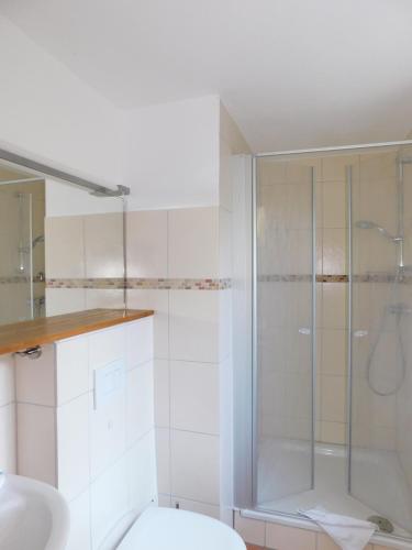 a bathroom with a shower with a toilet and a sink at Ferienhaus La Mer in Ahrenshoop