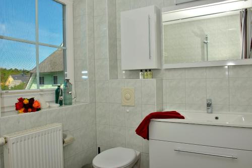 a bathroom with a toilet and a sink and a mirror at Schipperhus in Born
