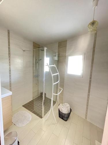 a bathroom with a shower with a ladder in it at La maison de La Combe in Parzac