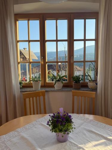 Großes Paradies am Gries