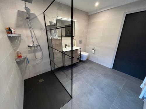 a bathroom with a walk in shower and a toilet at Le Chalet de la belle vue in Fouchy