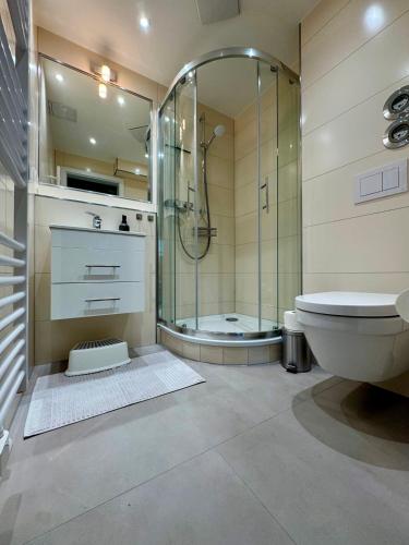 a bathroom with a shower and a toilet at Malergarten 05 in Ahrenshoop