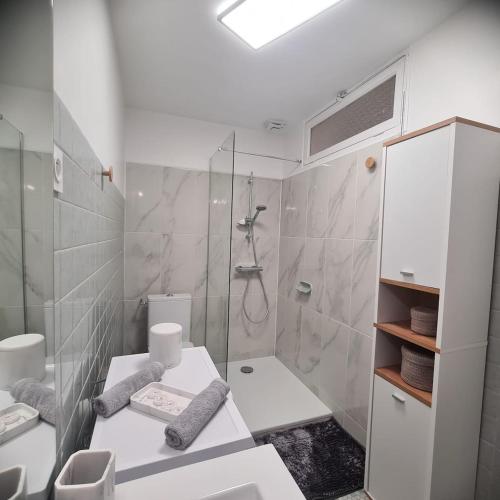 a bathroom with a shower and a toilet and a sink at Joli Eden in Saint-Sulpice-de-Faleyrens