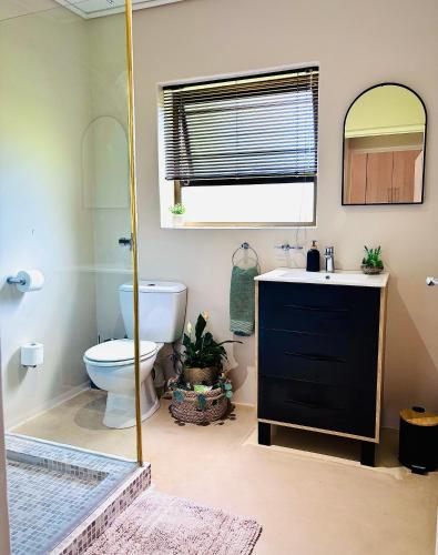 a bathroom with a toilet and a sink and a mirror at Klein Geluk Cottage in Stellenbosch