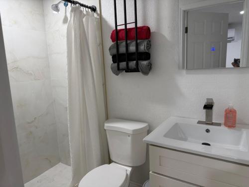 a white bathroom with a toilet and a sink at Cozy Guesthouse Downtown Tampa in Tampa